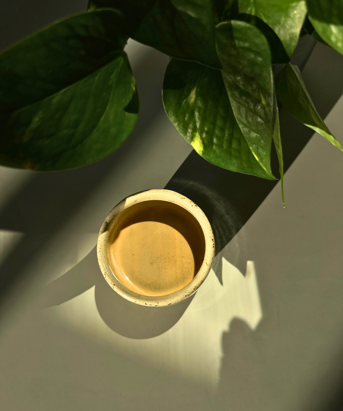 Kaffee aus den Viphya Highland in Malawi - Brandenburger Röstung (250g)